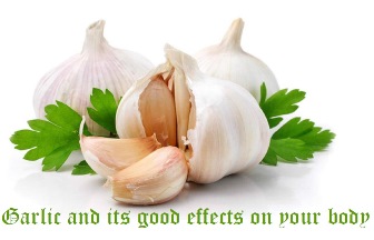 Garlic and its good effects on your body – part two