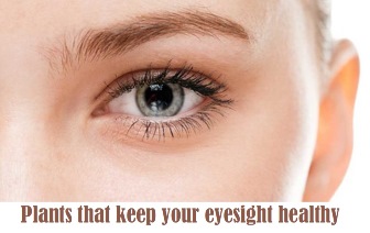 Plants that keep your eyesight healthy