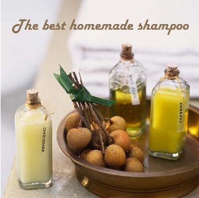 The best homemade shampoo