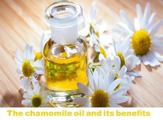 The chamomile oil and its benefits